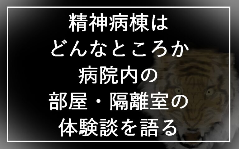 精神病棟はどんなところか。病院内の部屋・隔離室の体験談を語る 住環境トラブログ